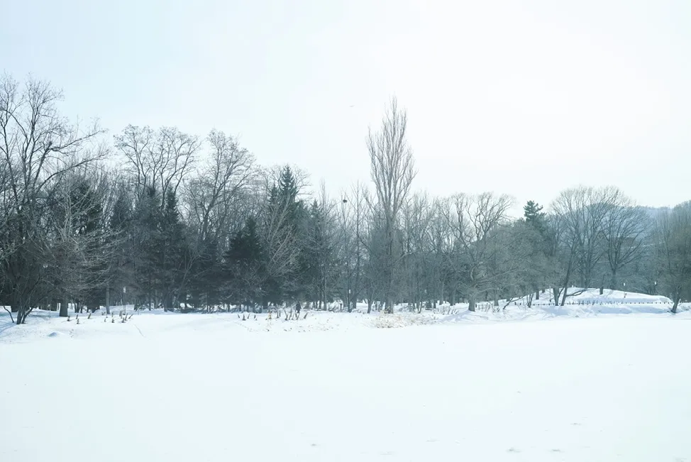 【最新】飯田エリカ×麻倉瑞季デジタル写真集３「薄氷と少女と真紅のコート」 – 预览图